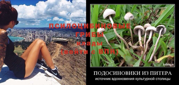 первитин Зерноград
