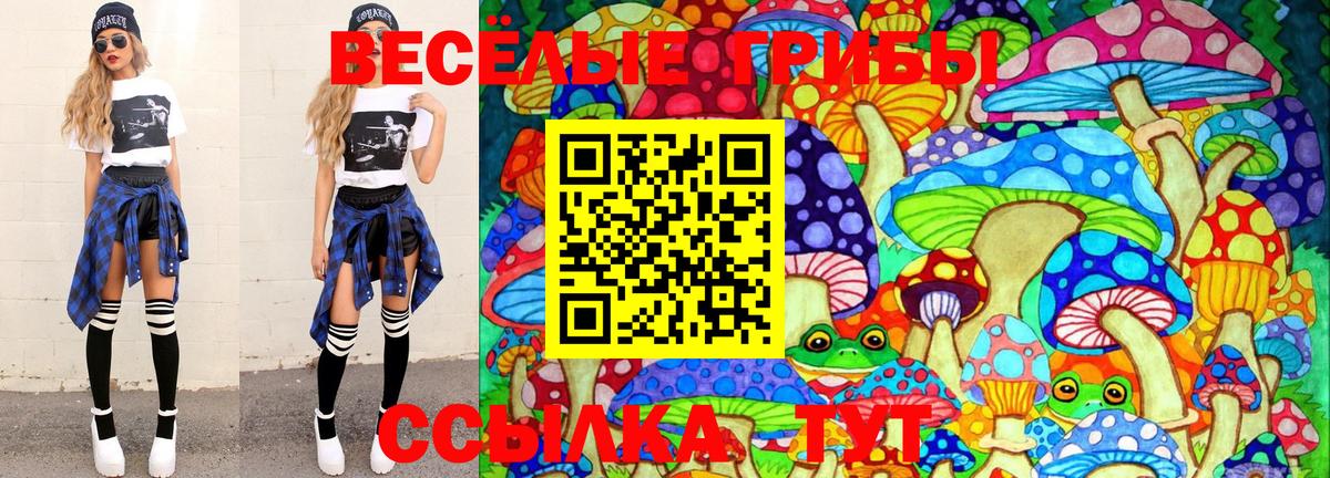 Галлюциногенные грибы MAGIC MUSHROOMS  Славгород  Псилоцибиновые грибы MAGIC MUSHROOMS 