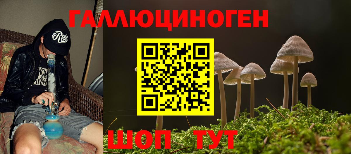 Псилоцибиновые грибы мицелий Славгород