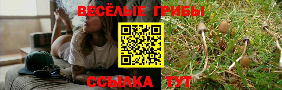 Псилоцибиновые грибы MAGIC MUSHROOMS  Вход с VPN  Псилоцибиновые грибы Cubensis  Славгород 
