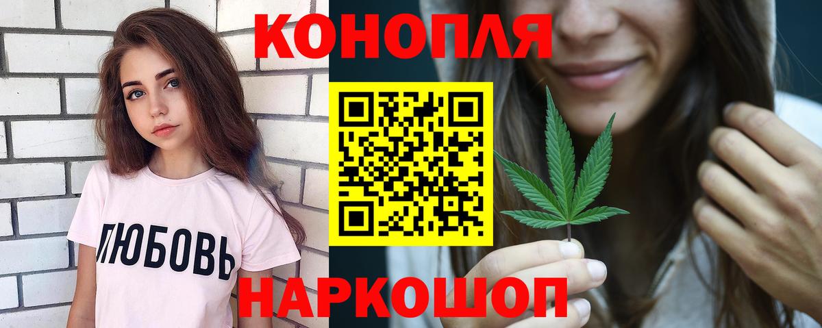 Каннабис планчик  Конопля MAZAR  Славгород  Каннабис конопля 